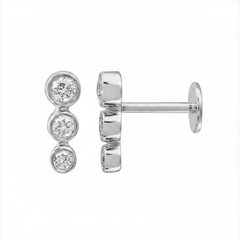 Bezel Bar Diamond Degraded Flat Back Earrings